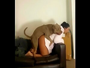 Video di sesso con cani - Pitbull a pecorina