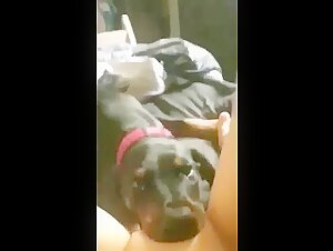 Video of Sex with a Dog