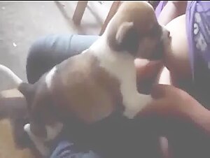 Video de Sexo con Perro: Mujer amamanta a un cachorro