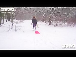 Winter Wonder - AOZ: Exciting bestiality sex videos