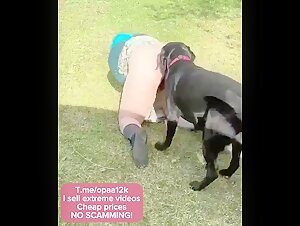 Donna e cane: un incontro bestiale ed emozionante