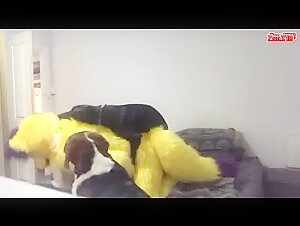 Woman and dog in fur costume: an intense zoophilia video