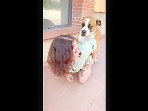 Video di sesso bestiali con cani