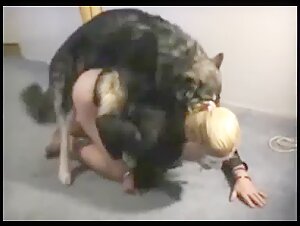 Bestiality: a woman and her dog in a shocking video