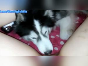 Dog relentlessly fucks whore: wild and brutal sex