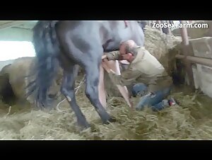 Incontro intimo: cavallo e uomo