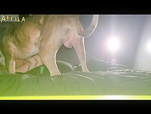 Donna paffuta e il suo cane: un video di zoofilia da non perdere