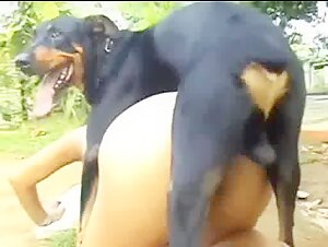 Une rencontre bestiale et excitante