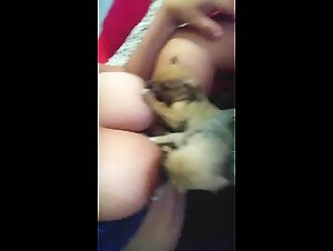 Puppies feasting in intense bestiality scene