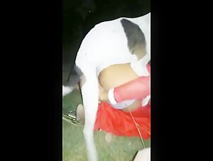 Mujer y perro: una relacion bestial y apasionante