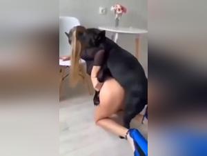 ArtofZoo: Cindy,  Le Désir Animal Brutal