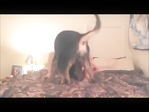 Bestiality sex video: a woman and a dog