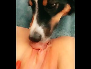 Escenas extremas de zoofilia con una MILF y su perro