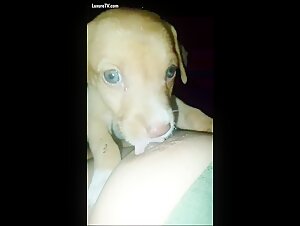 Video of zoophilia with a faithful dog