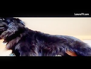 Ama de casa y su perro: un video de zoofilia que no te puedes perder