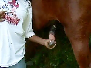 Interspecies meeting: black woman and horse