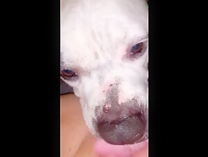 Ragazza adolescente e cane: lingua profonda - Video sulla bestialita