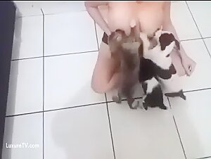 Bestialité : Femme et Chien dans des Vidéos Choc