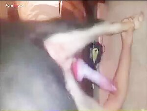 Woman and Dog: A Forbidden Encounter - Bestiality and Zoophilia Sex Videos