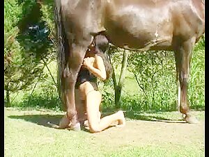 Gisele and the horse: a video of intense zoophilia