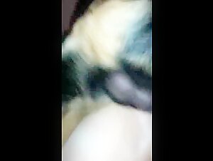 Vidéo de Sexe avec un Chien