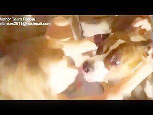 La donna russa e il suo cane: un video di zoofilia da non perdere