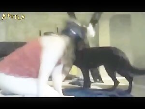 Amateur-Webcam mit einer maskierten Frau und ihrem Hund