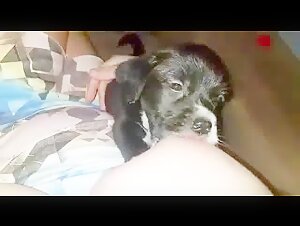 Bestialidad: una mujer y su cachorro