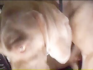 Video de Sexo con Perro: Una Experiencia Extrema