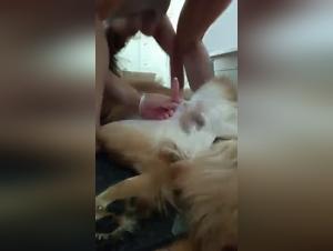 Madchen Sex Hund: Hardcore Beast