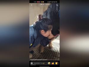 Extreme bestiality: Kina saedi hiti