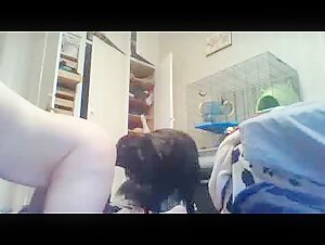 Zoophilia Amateurvideos - Sex mit Hund