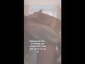 Bestiality Sex Video: Daddy's Dog and His Young Mistress