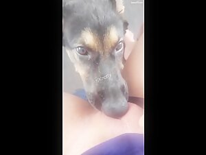 Video de sexo bestial con un perro