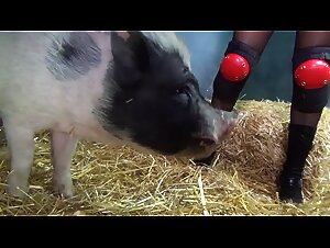 Eintauchen in die Tierwelt: Bestiality Hardcore