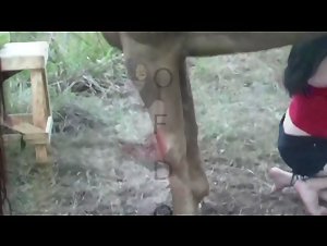 Bestiality: a woman and a horse in a shocking video