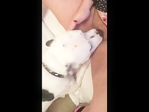 BBW and her dog in bestiality video