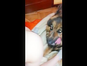 Una relazione intima con un cane