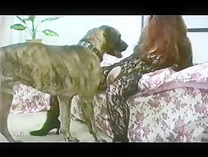 Video di sesso bestiale mozzafiato