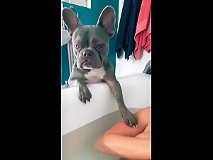 Video de sexo con perritos calientes: accion extrema de zoofilia