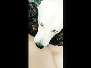 Intimate Video: Man and Dog