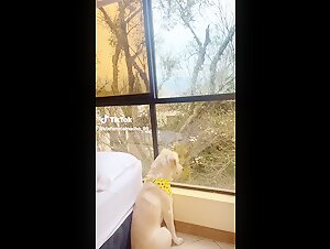 Extreme Bestiality: Zoophilia Video with a Dog