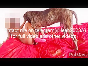 Sex mit Hund - Bestiality-Videos