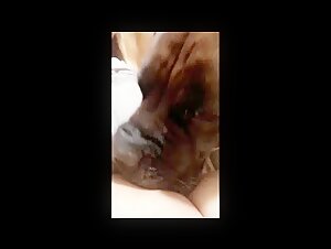 Compilation de Chiens et Femmes: Une Expérience de Bestialité Extrême