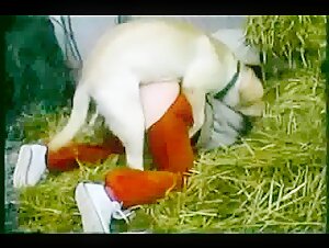 Mujer y perro: un video de zoofilia que no te puedes perder