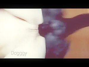 Zoophilia Video: Dog and Mistress