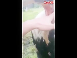 Sexvideo mit einem Stier: ein tierisches Erlebnis