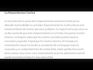 Guida alla bestialita: tutto quello che devi sapere