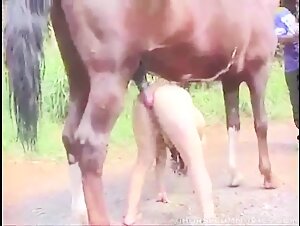 Encuentro bestial: mujer y caballo