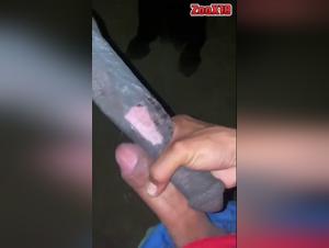 Amateur und Hund: Febrile Orgies